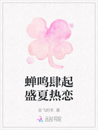 蟬鳴肆起盛夏熱戀在線閱讀