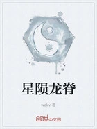 星陨龙脊在线阅读