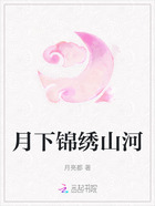 月下锦绣山河在线阅读