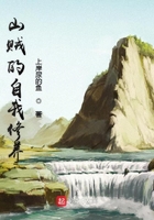 山賊的自我修養在線閱讀