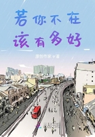 若你不在，該有多好在線閱讀