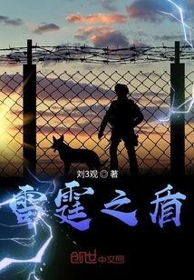雷霆之盾