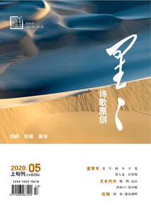 星星·詩歌原創（2020年第5期）