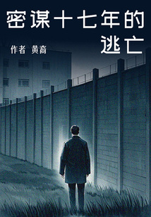 密謀十七年的逃亡（肖央春夏蔣奇明主演電影《陽光照耀青春里》原著）