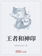 王者和神印在线阅读