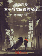 先婚后爱:太子与女间谍的权谋在线阅读