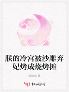 朕的冷宫被沙雕弃妃烤成烧烤摊在线阅读