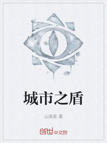 城市之盾