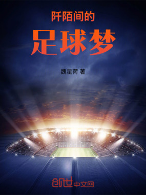 阡陌间的足球梦在线阅读