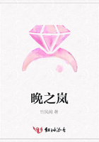 晚之嵐在線閱讀