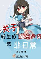 關于轉生成魔法少女的非日常在線閱讀