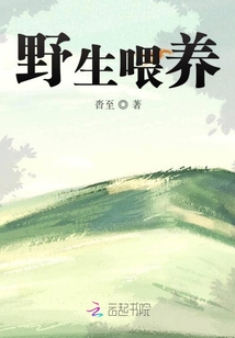 野生喂養