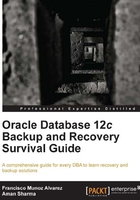 Oracle Database 12c Backup and Recovery Survival Guide在线阅读