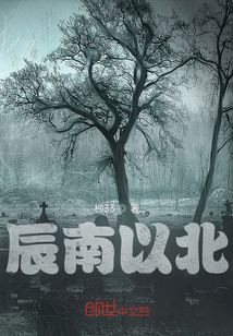 辰南以北