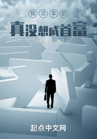 我造车的,真没想成首富在线阅读