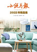 小说月报2022年精品集在线阅读