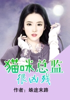 貓咪總監很兇殘在線閱讀