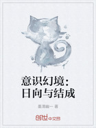 意识幻境:日向与结成在线阅读