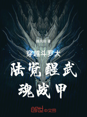穿越斗罗大陆觉醒武魂战甲在线阅读