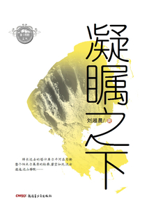 凝矚之下（慕士塔格文叢）