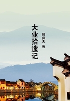 大業拾遺記在線閱讀