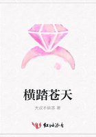 橫踏蒼天在線閱讀