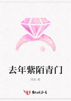 去年紫陌青門在線閱讀