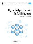 Hyperledger Fabric菜鸟进阶攻略在线阅读