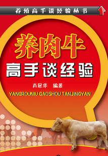 养肉牛高手谈经验