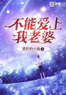 不能愛上我老婆