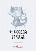 九尾狐的异界录在线阅读