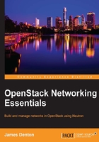 OpenStack Networking Essentials在线阅读