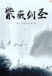 紫薇劍圣