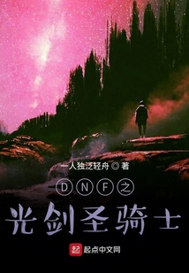 DNF之光劍圣騎士