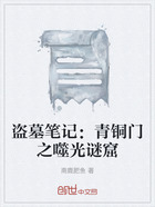 盗墓笔记：青铜门之噬光谜窟在线阅读