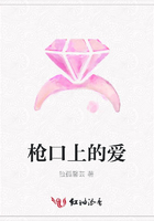 槍口上的愛在線閱讀