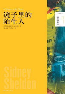 鏡子里的陌生人(謝爾頓作品)