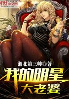 我的明星大老婆在線閱讀