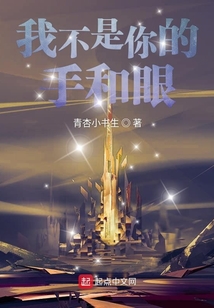 我不是你的手和眼