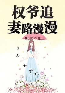 權爺追妻路慢慢