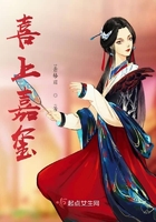 喜上嘉玺在线阅读