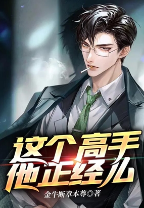 这个高手他正经么在线阅读