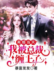 離婚當天，我被總裁纏上了