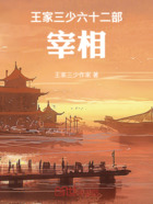 王家三少六十二部,宰相在线阅读