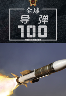 全球?qū)?00