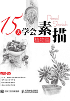 15天学会素描：植物篇在线阅读