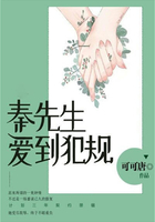 秦先生，愛到犯規(guī)在線閱讀
