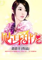 贴身甜宠在线阅读
