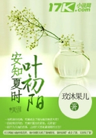 搶婚成癮在線閱讀