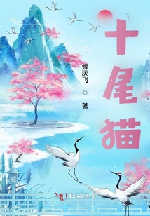十尾貓